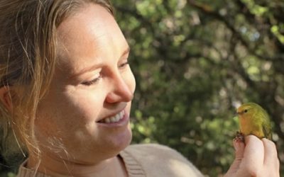 Dr. Hanna Mounce to speak at the Friends of Haleakala National Park annual meeting