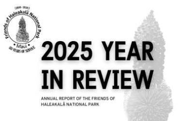 2025 Year in Review: Service, Stewardship, and Community with the Friends