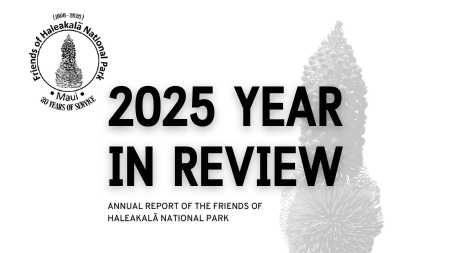 2025 Year in Review